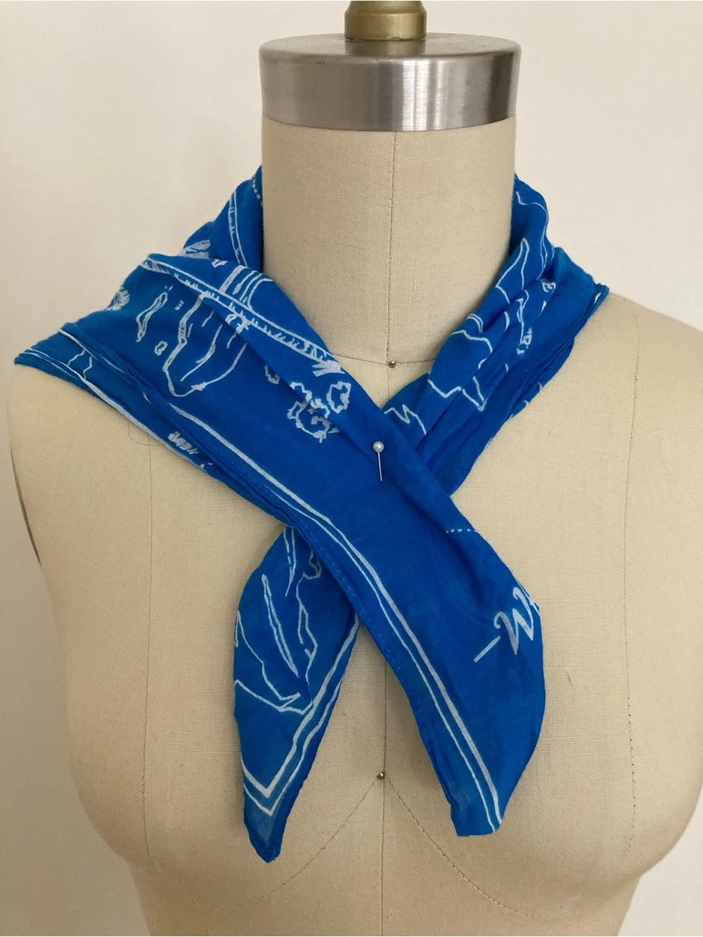 Madewell nautical blue scarf